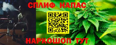 стаф Пенза