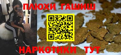 стаф Пенза