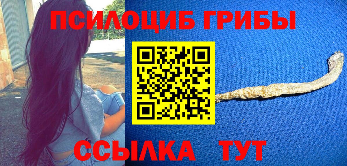 Галлюциногенные грибы MAGIC MUSHROOMS Сокол