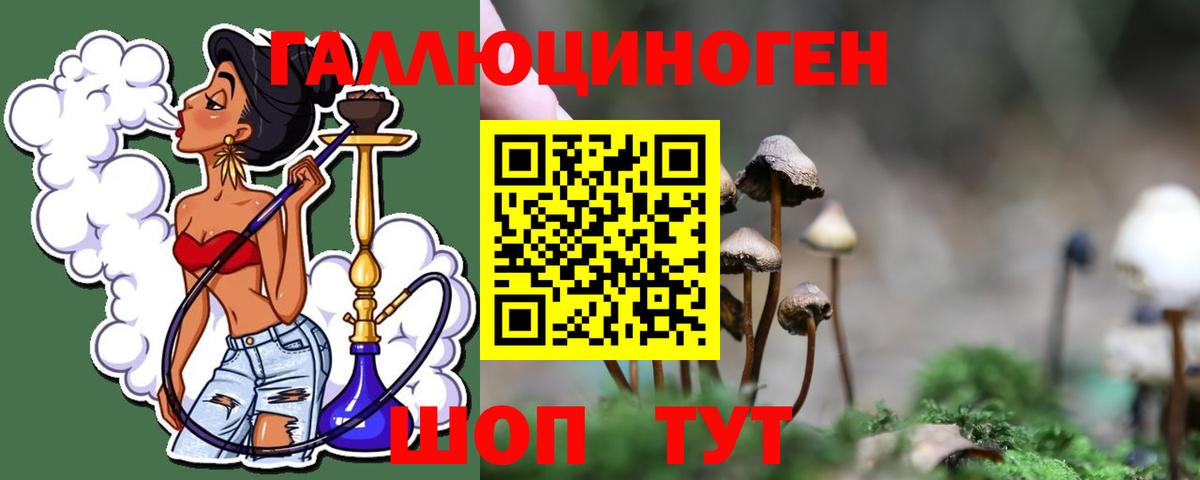 Сокол  Псилоцибиновые грибы Magic Shrooms  Вход с VPN 